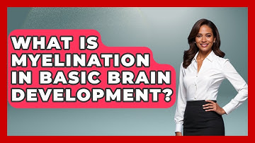 What Is Myelination In Basic Brain Development? - Brain Development Hub