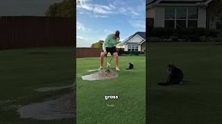 Why Players Do This In Golf 😱 #shorts