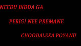 Needu Bidda Ga Perigi