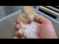 今は もう動かない お婆ちゃん