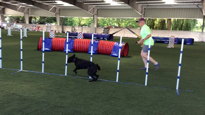Kelly Chaffin July 14 2019