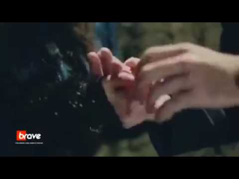 اللقطه دي حلوه بغباء