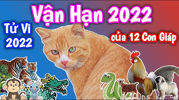 Vận Hạn Năm 2022 của Tuổi TÝ SỬU DẦN MÃO THÌN TỴ NGỌ MÙI THÂN DẬU TUẤT HỢI