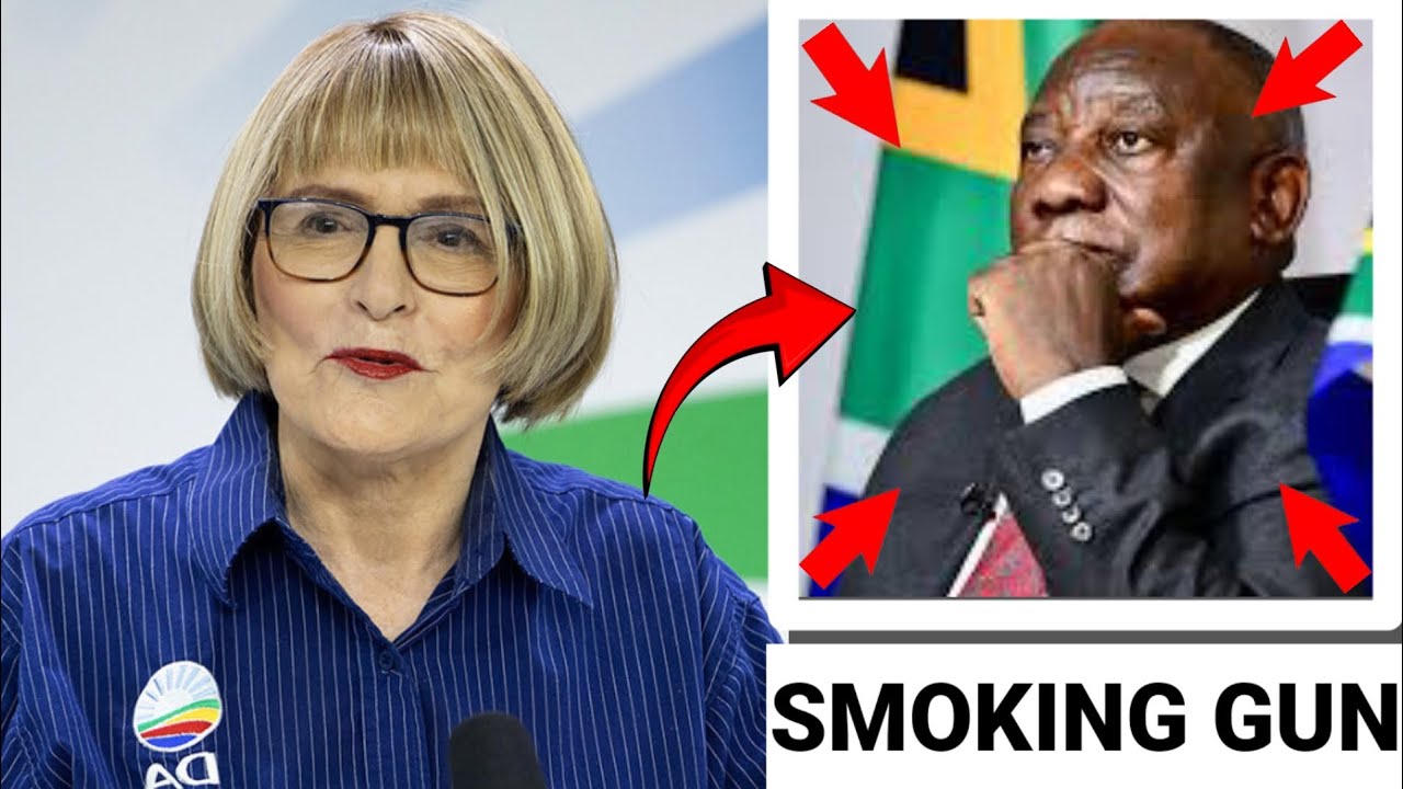 The Smoking Gun: Helen Zille’s Leaked Dossier Sends Shockwaves Through ...