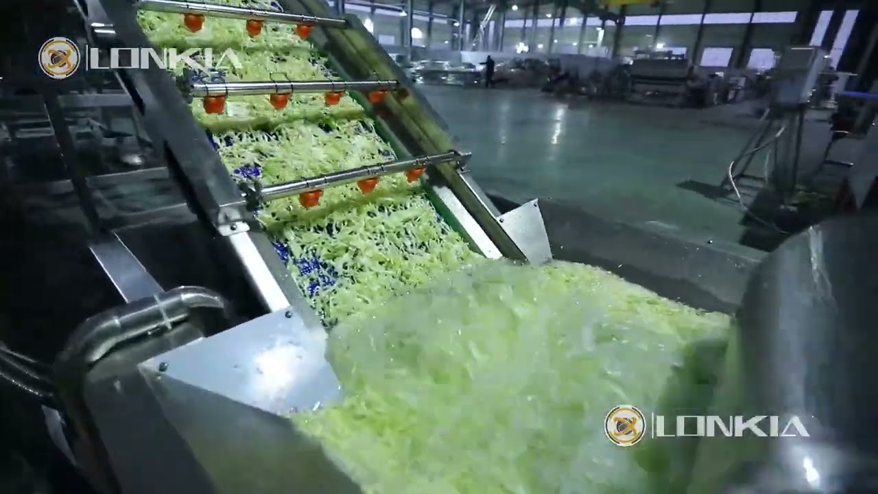 vegtables washing line cabbage cutting washing machine