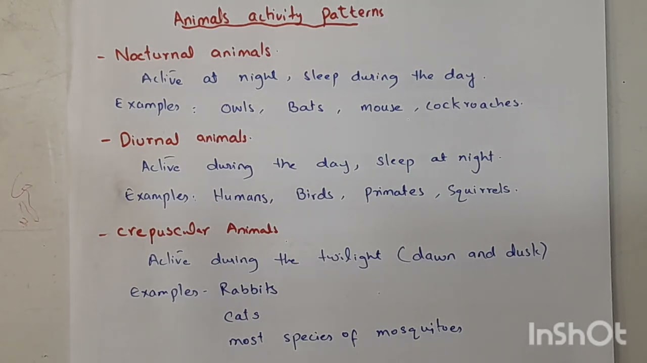 Nocturnal, Diurnal and Crepuscular Animals