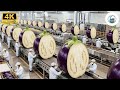 Inside the Largest US Eggplant Factory: From Fresh to Packaged (Full Process)