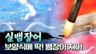 아직도 풀리지 않은 실뱀장어 이야기, 양식은 어려운 걸까요? #실뱀장어 #장어 #기력 #보양식 #불법조업