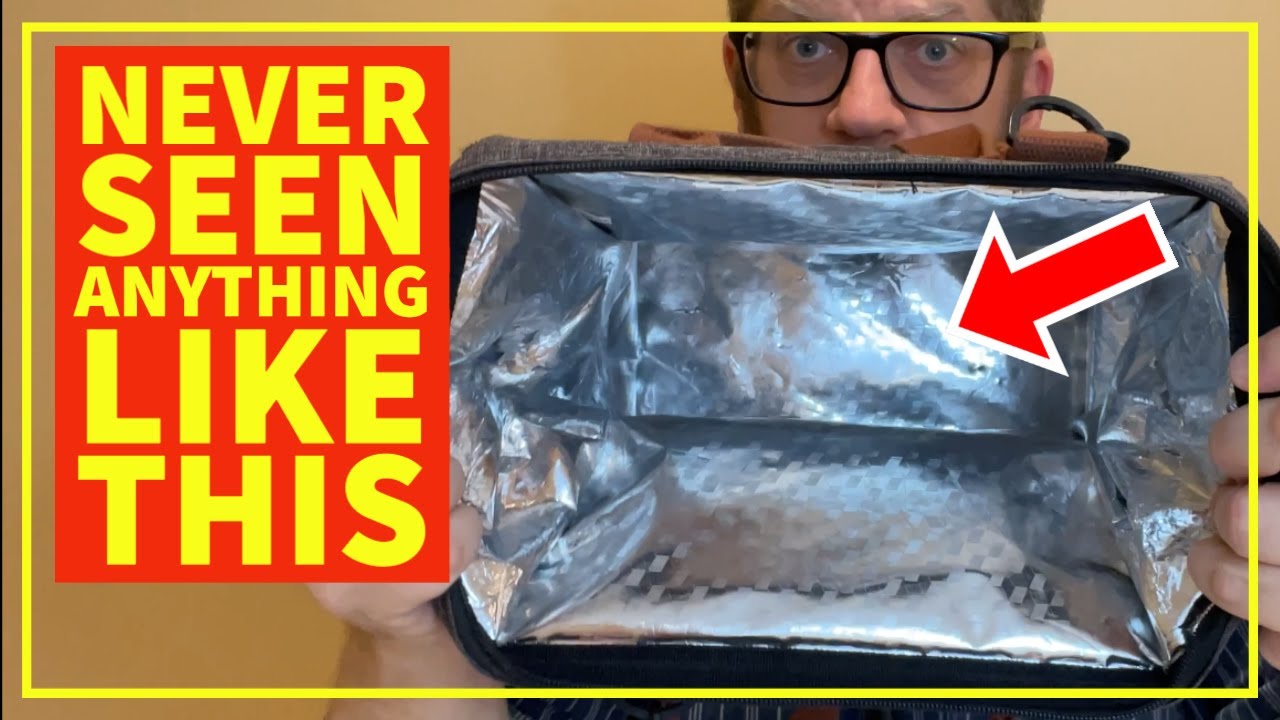 Still Great After Two Years of Grade School and Looks Like Fine Luggage - An Amazing Lunchbag