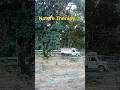 Nature Therapy 🌿 | Mushafir Hoon Yaaron Jungle Train Journey | Old is Gold