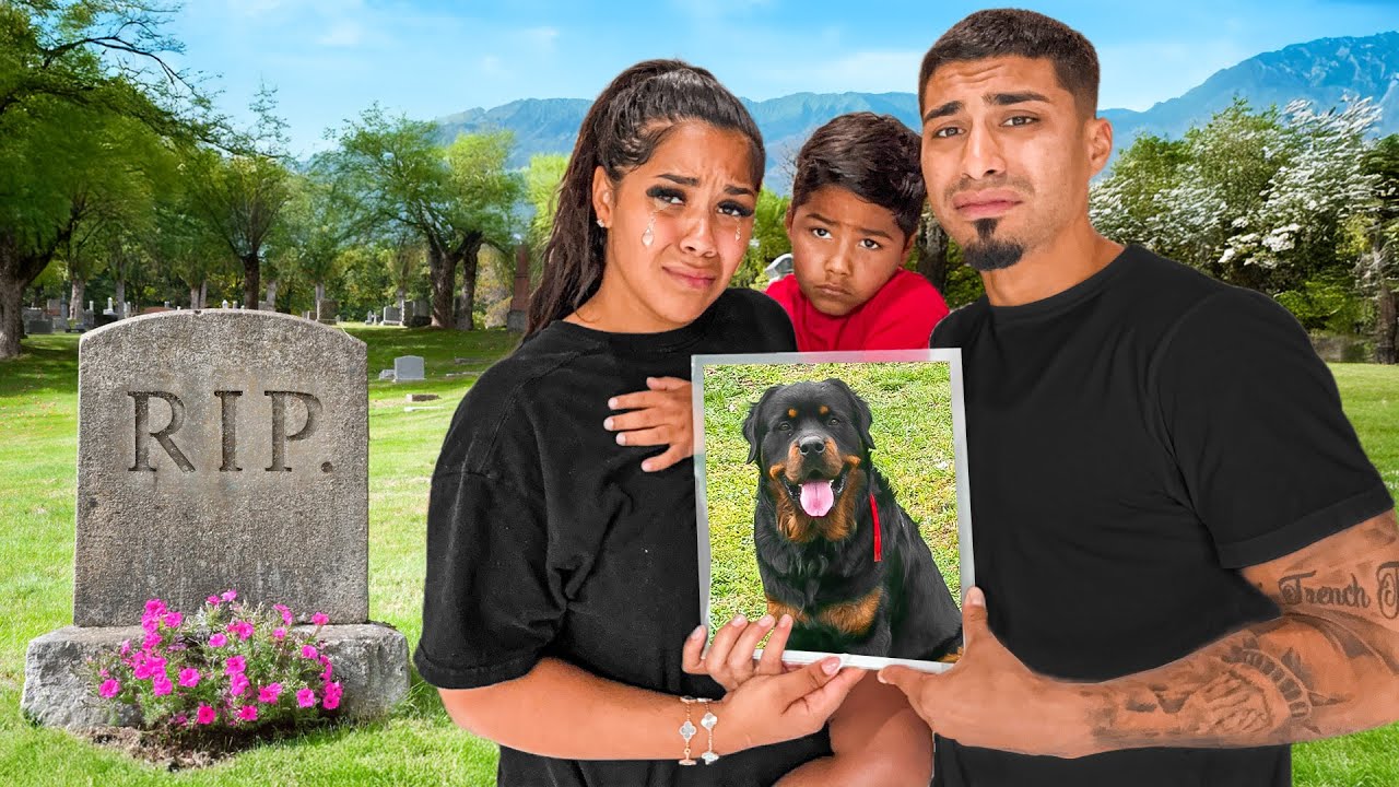 This Brought Us To Tears… *RIP BEAR*