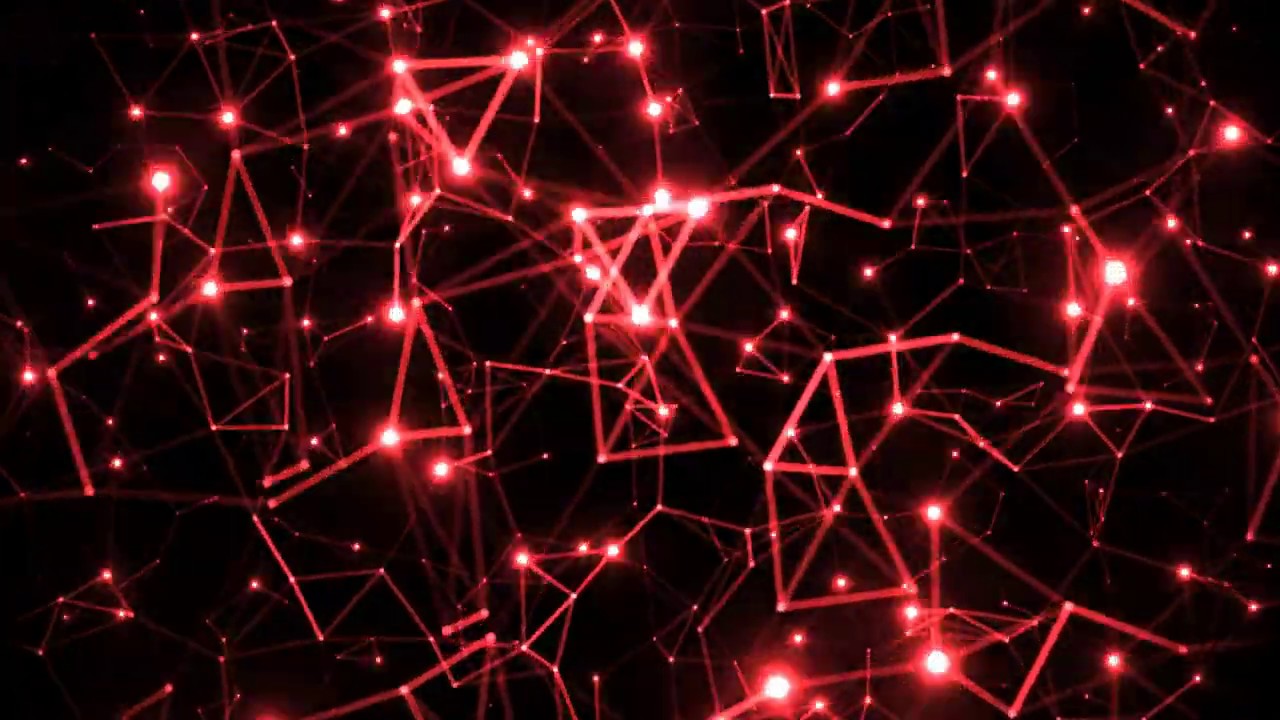 Krisztian Palmai - Our Secret Garden