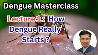 Dengue Masterclass: How Dengue Really Starts 