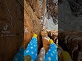 aktivitas ekstrem Via Ferrata dan pemandangan tebing yg menakjubkan #extremesport #olahraga #nature