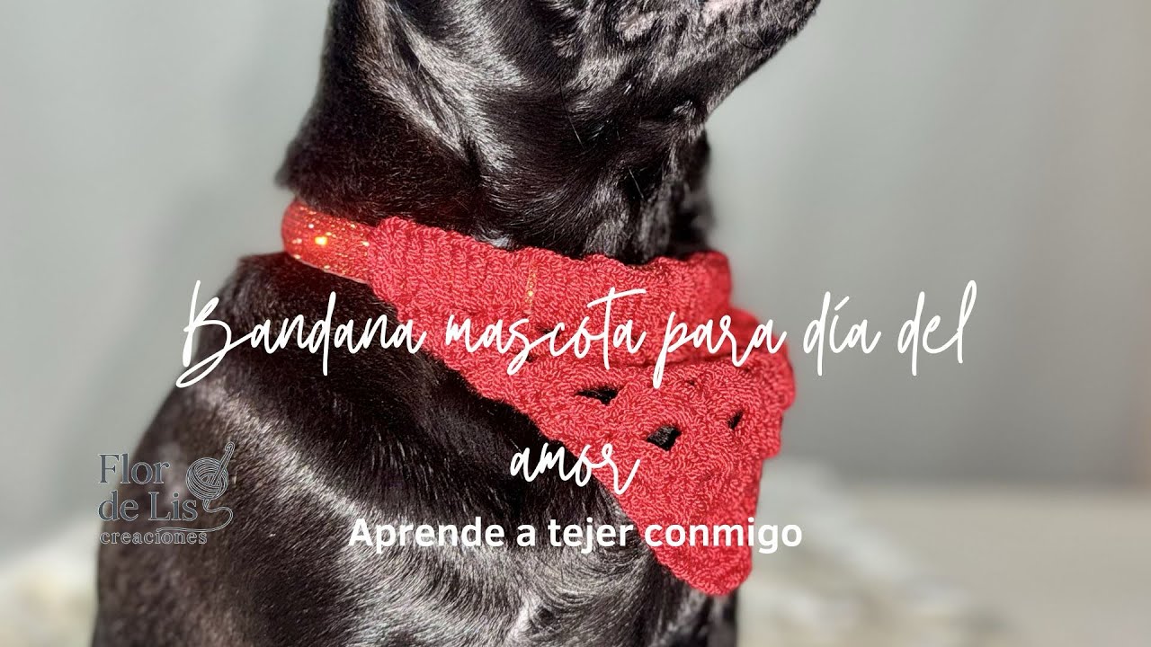 Bandana para mascotas especial día del amor ♥️