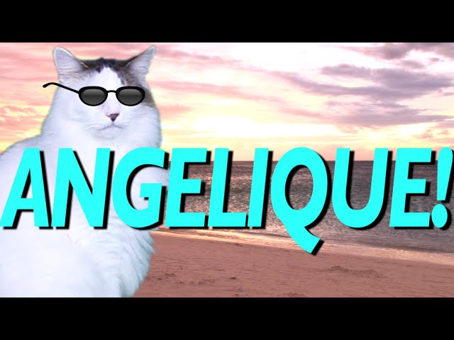 HAPPY BIRTHDAY ANGELIQUE! - EPIC CAT Happy Birthday Song
