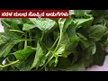         soppu adugegalu  healthy greens recipes