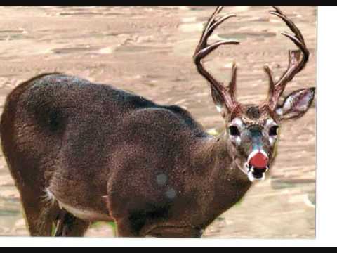 Picture Of Rudolph 6