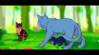 Коты воители - клип не могу Коты воители - клип не могу