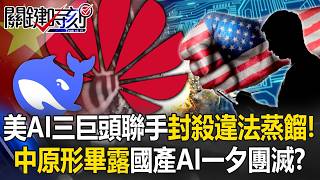 US AI Giants Block 'Model Distillation'! Chinese AI Collapsing?