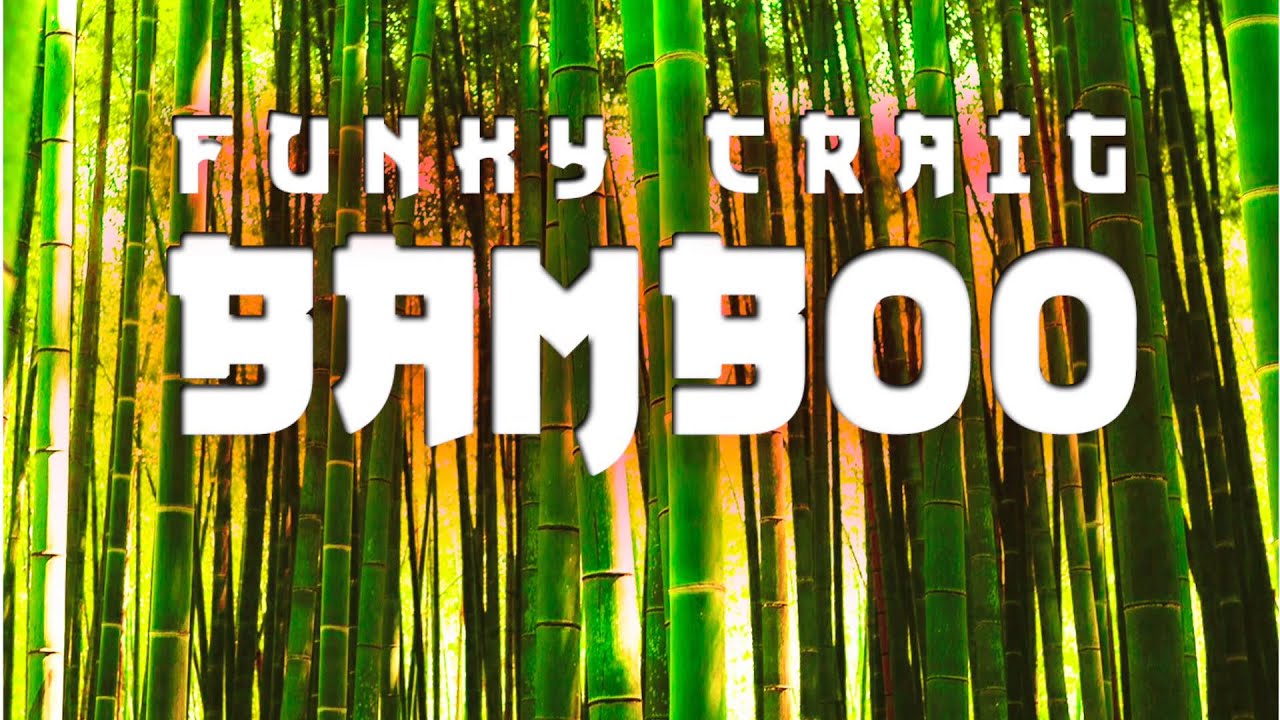 Funky Craig - Bamboo (Original Mix)