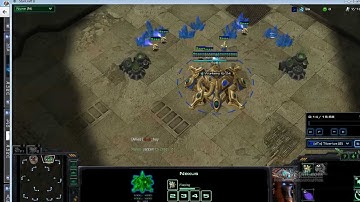 Starcraft 2 2v2 Void Rays Win!