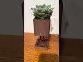 Help! I don’t know what to call this!