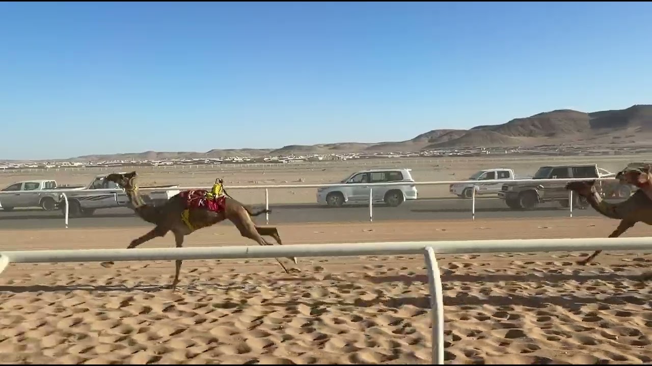 الشوط الخامس عشر | بكار مفاريد | الاتحادية | نادر بن ظاهر البلوي | 2:12