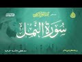 عبد الرحمن الزواوي 27 سورة النمل Surat An Naml