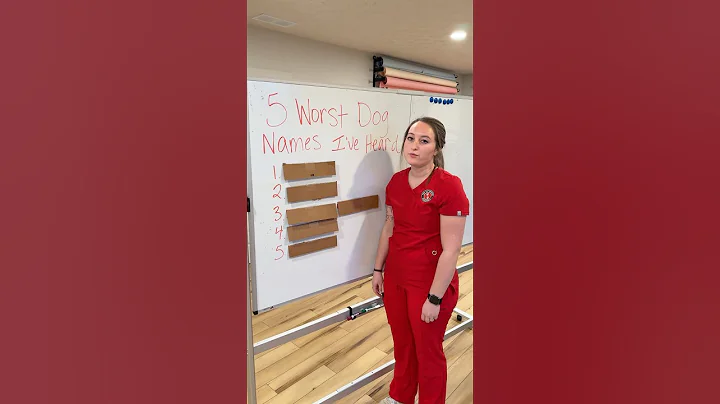 The WORST dog names we’ve ever heard #shorts #vetmed #vettech #dogs