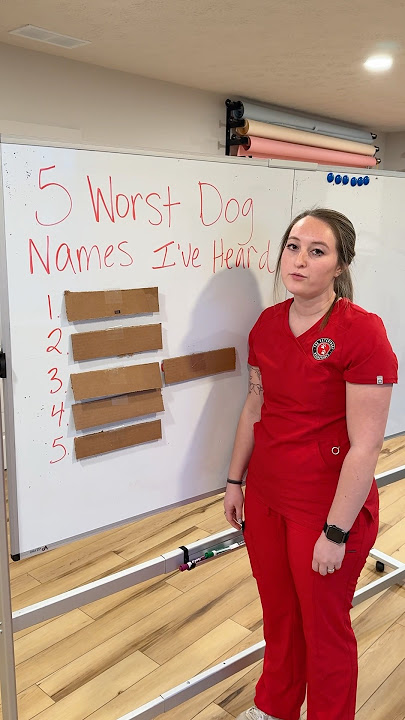 The WORST dog names we’ve ever heard #shorts #vetmed #vettech #dogs