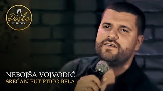 Nebojsa Vojvodic - Srecan put ptico bela - (Posle Fajronta | Cross 2020)