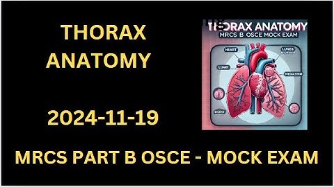 Surgical Anatomy Station: Thorax, Mediastinum, Lungs, and Heart | MRCS B OSCE Mock Exam