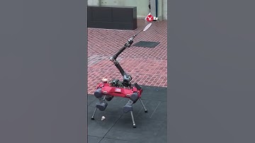 AI-powered robot learns to play badminton against humans