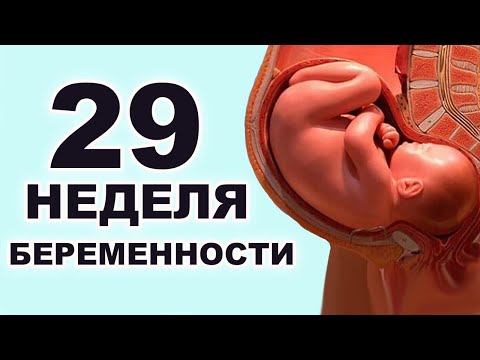 Что происходит с ребёнком и мамой на 29 неделе беременности? 7 месяц беременности. Третий триместр.