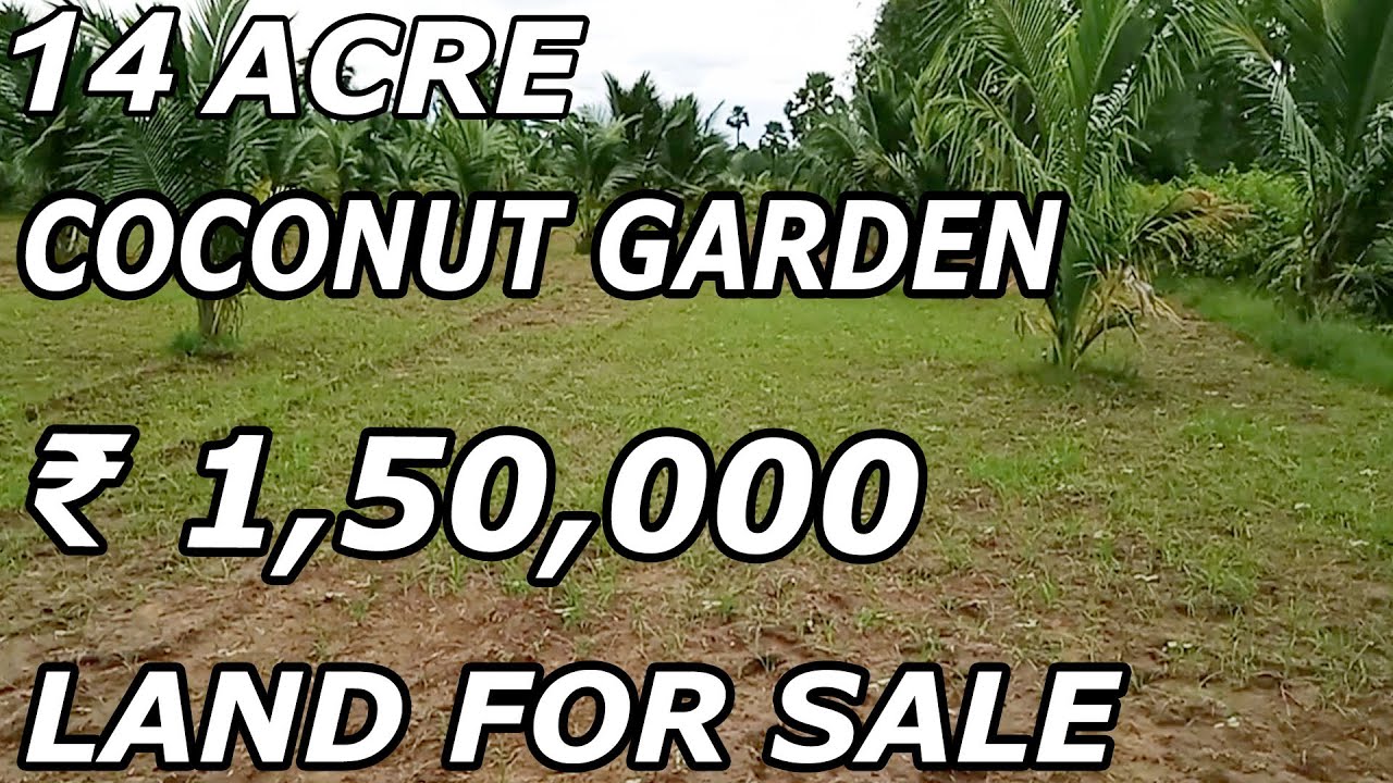 14 ACRE LAND FOR SALE COCONUT GARDEN SALE COST PER ACRE ₹ 1,50,000