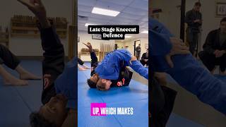 Late Stage Guard Retention Against Knee Cut Pass #guardretention #rdlr #kneecutpass