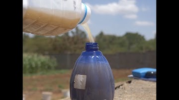 Episode 5: Using fish soup and rabbit urine to manage Fall armyworm