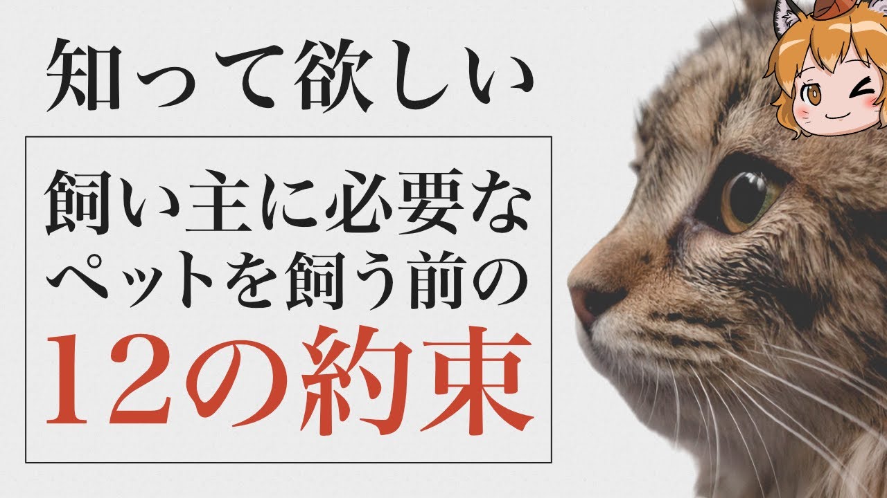 ゆっくり解説 知ってほしい ペットを飼う前の12の約束 心構え Youtube ゆっくり解説 知ってほしい ペットを飼う前の12の約束 心構え Youtube