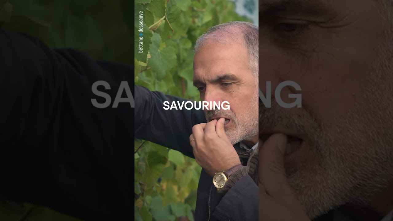 Wine reel of the Day. Champagne Drappier Carte d'Or