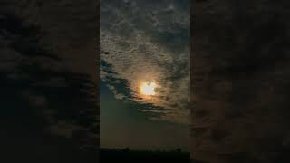 Reflection Of A Hero subscribe shorts naturephotography