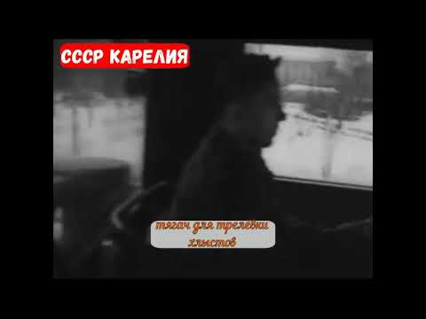 ❗Тягач для трелёвки