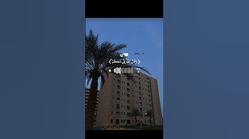 "ألا بذكر الله تطمئن القلوب" 🤍#القرآن_الكريم #سورة_المائدة #مشاري_العفاسي #راحة_نفسية #استمع #يارب