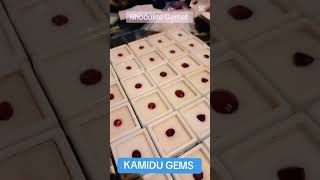 Rhodolite Garnet1  Ct​  Visit our showroom in Matara @LIFEbyKAMIDU amidu #gems #Apple 18 color