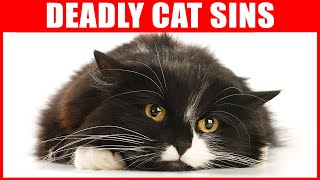 Mistakes that Shorten Your Cat's Life (Deadly Cat Sins)