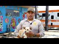 Pet Project  Jonas and the cuddler