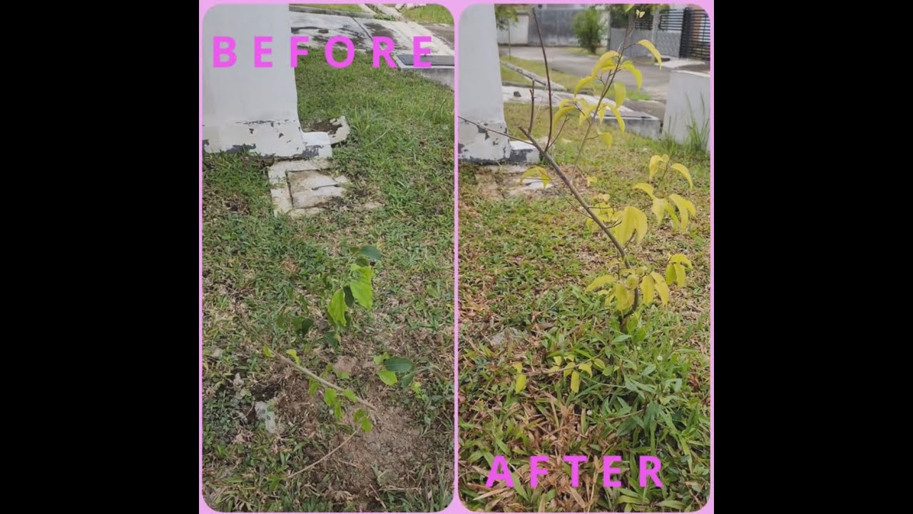 KONDISI RUMAH CITRA MAJA RAYA SETELAH HAMPIR 2 TAHUN??