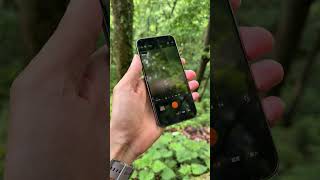 Xiao Bu, you're amazing! You instantly saved Hasselblad Master Mode filter parameters