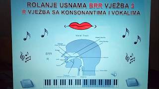 101.Multifunkcionalna Kondicijska Brr Vj.3.Konsonanti I Vokali. Intervali.artikulacija.fonacija.rzv.