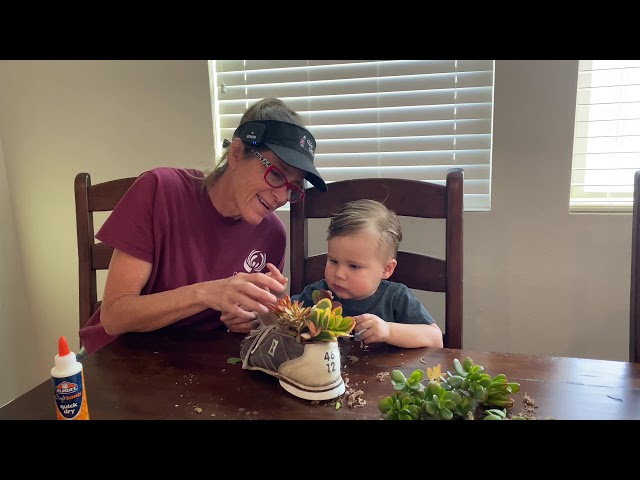 Succulent Tip of the Day with Griffin the Succulent Baby